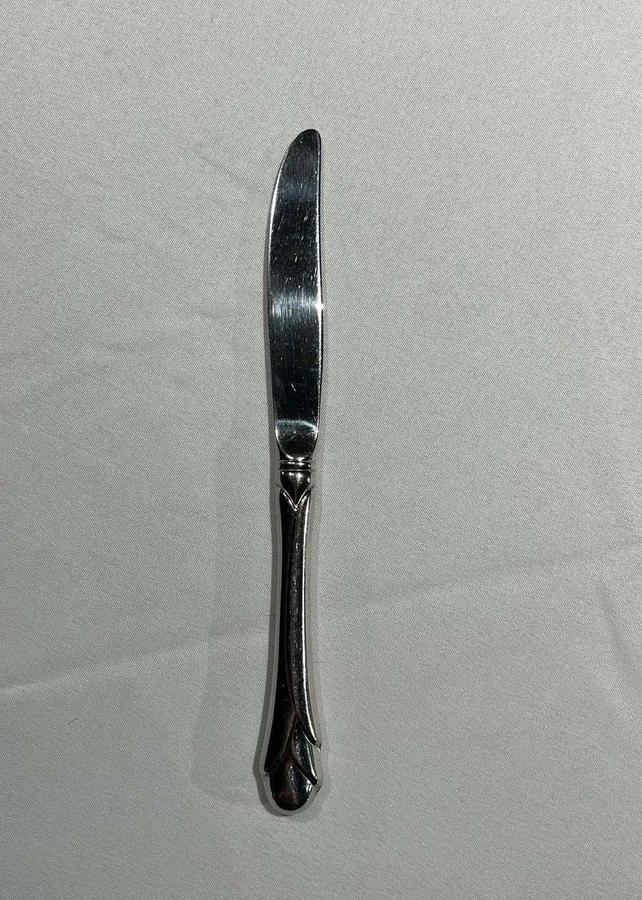 Stainless Dinner Knife